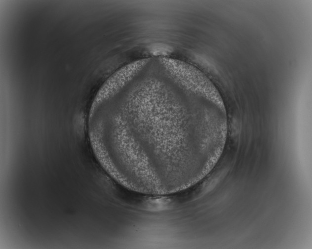 X0000088920321200706291532