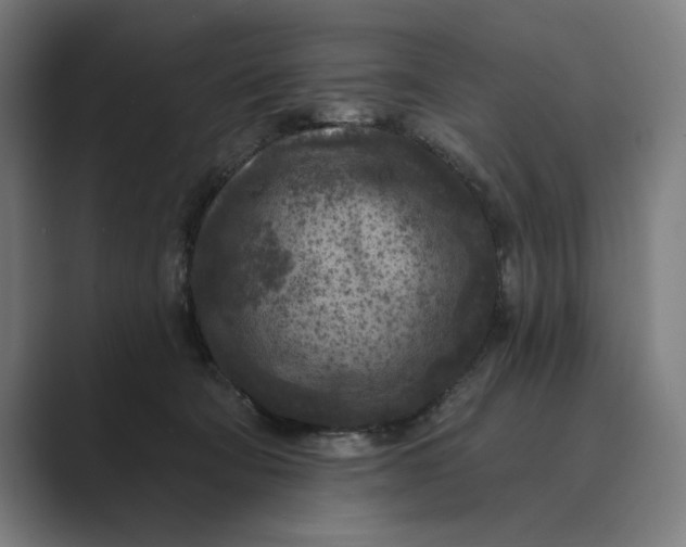 X0000088920322200706291532