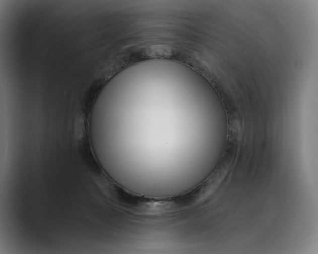 X0000088920323200706291532