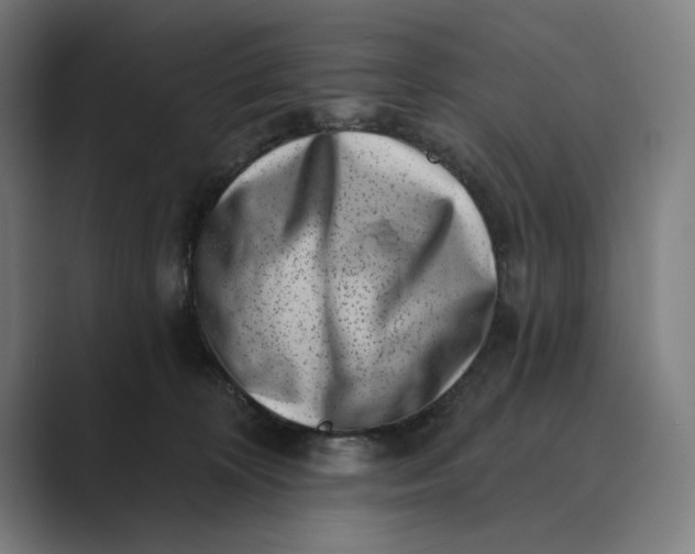 X0000088920324200706291532