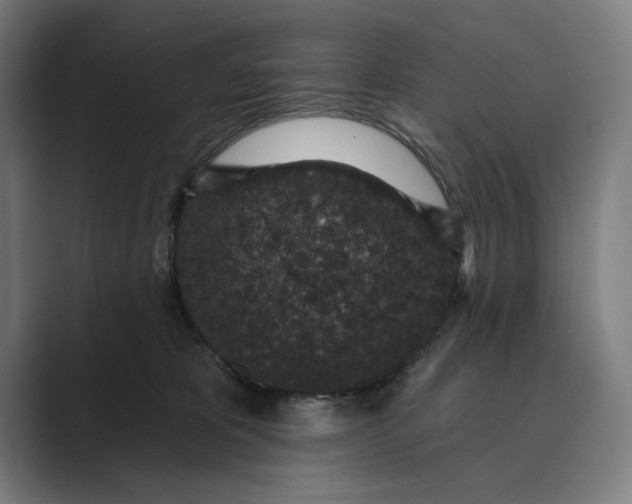 X0000088920325200706291532