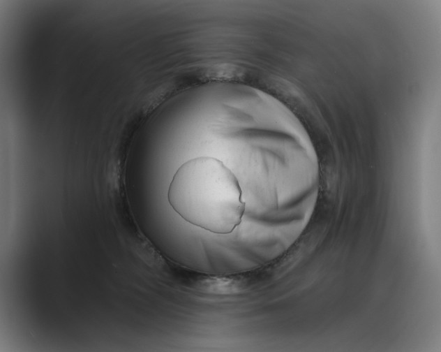 X0000088920326200706291532