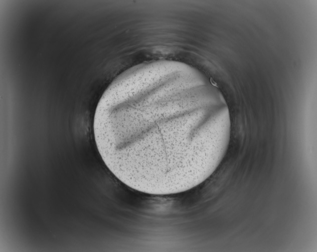 X0000088920328200706291532