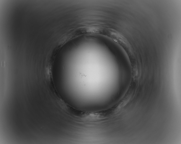 X0000088920329200706291532