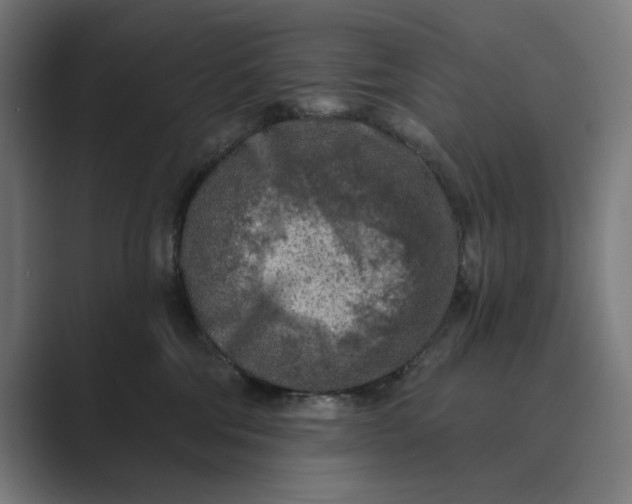 X0000088920330200706291532