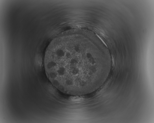 X0000088920331200706291532