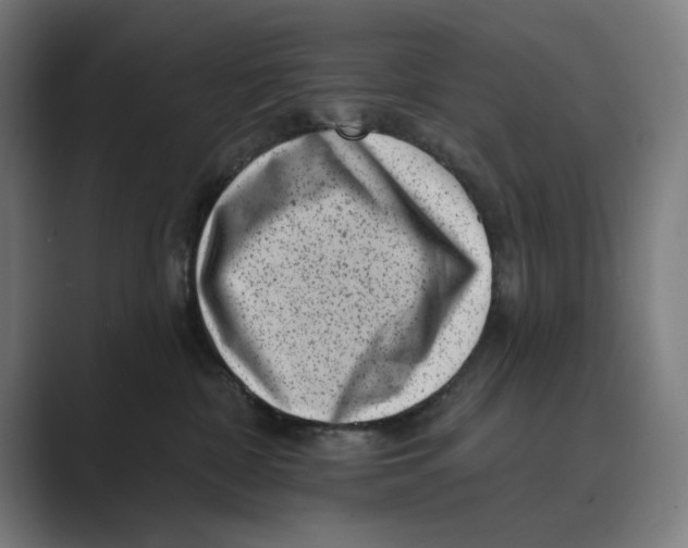 X0000088920332200706291532