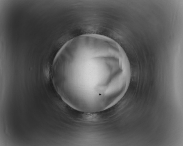 X0000088920334200706291531