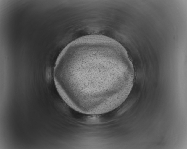 X0000088920335200706291531