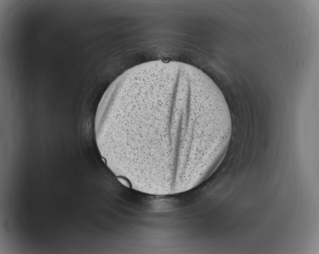 X0000088920336200706291531