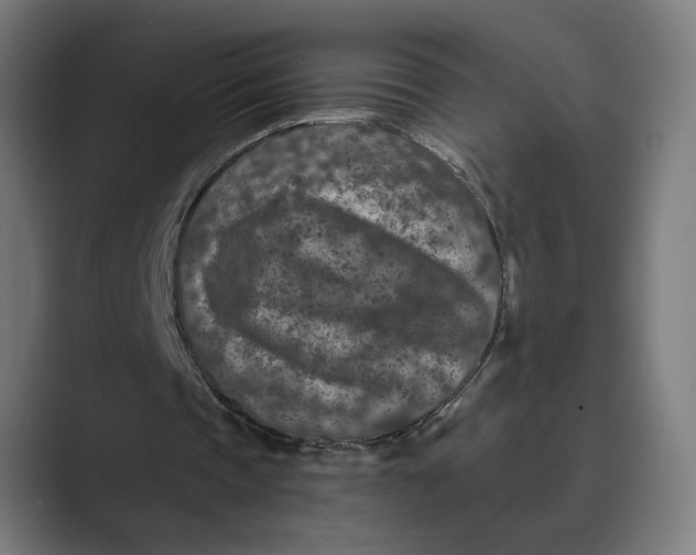 X0000088920337200706291531