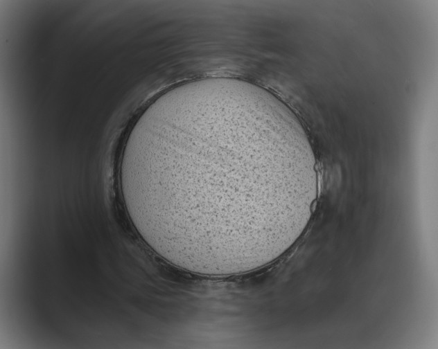 X0000088920339200706291531