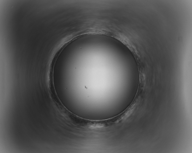 X0000088920340200706291531