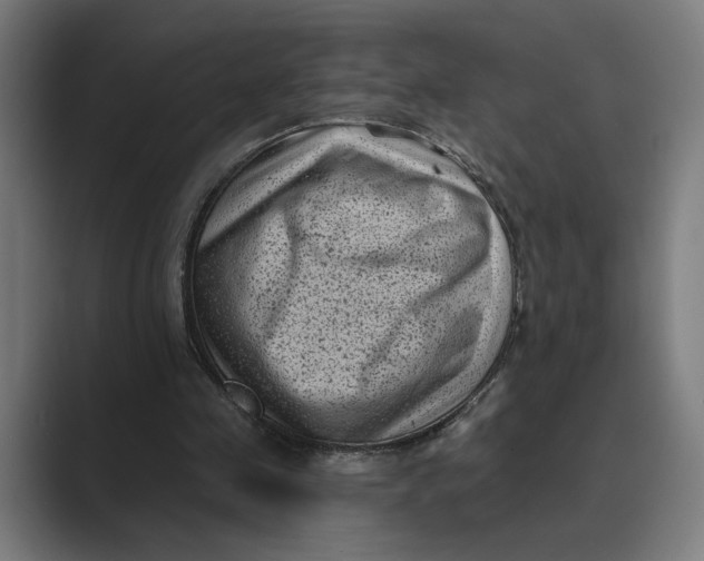 X0000088920341200706291531