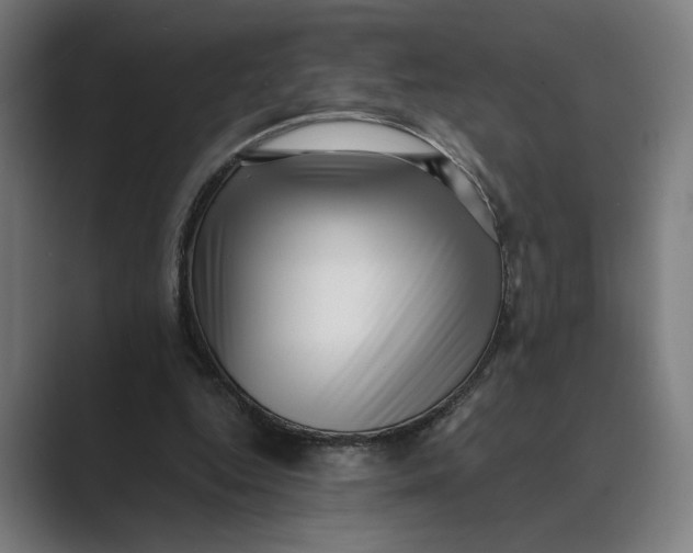 X0000088920344200706291531