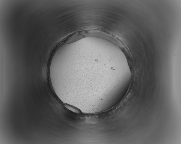 X0000088920345200706291531