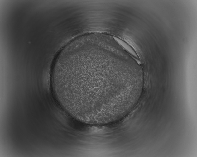 X0000088920346200706291531