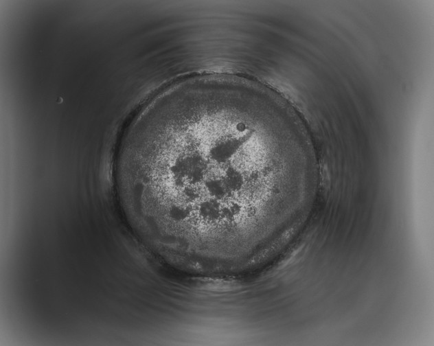 X0000088920347200706291531