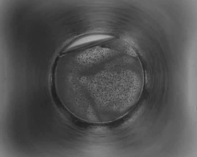 X0000088920348200706291531