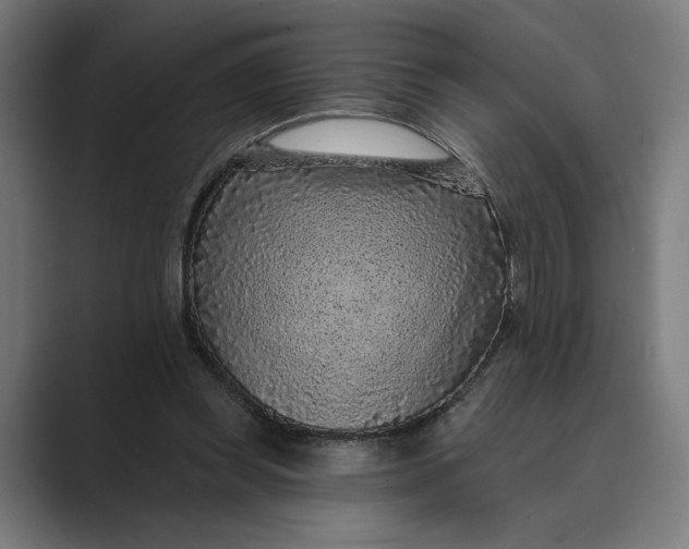 X0000088920349200706291531