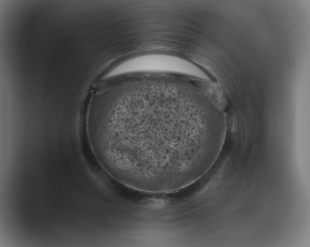 X0000088920352200706291531