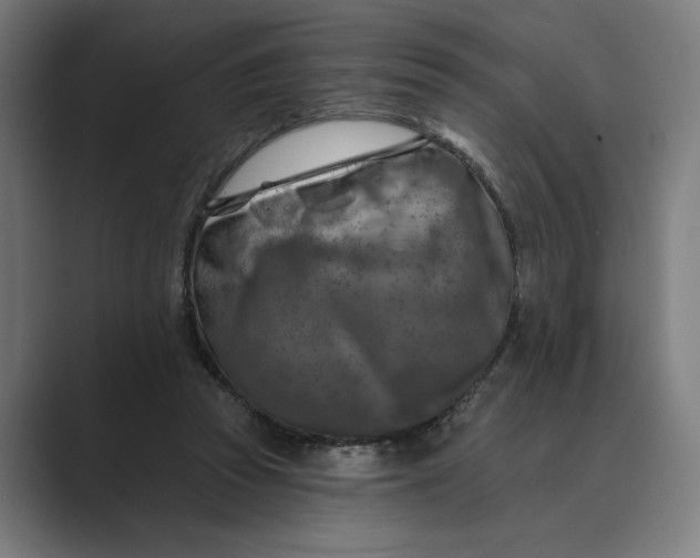 X0000088920353200706291531