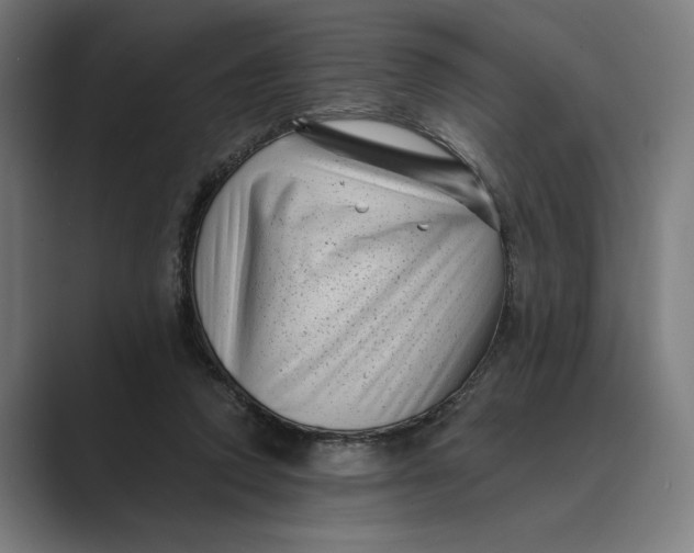 X0000088920354200706291531