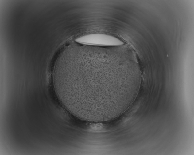 X0000088920355200706291531