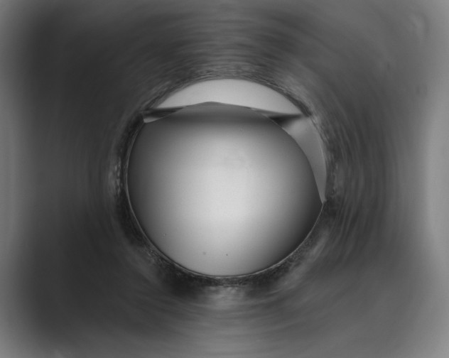 X0000088920356200706291531