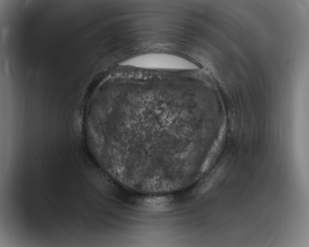 X0000088920357200706291531