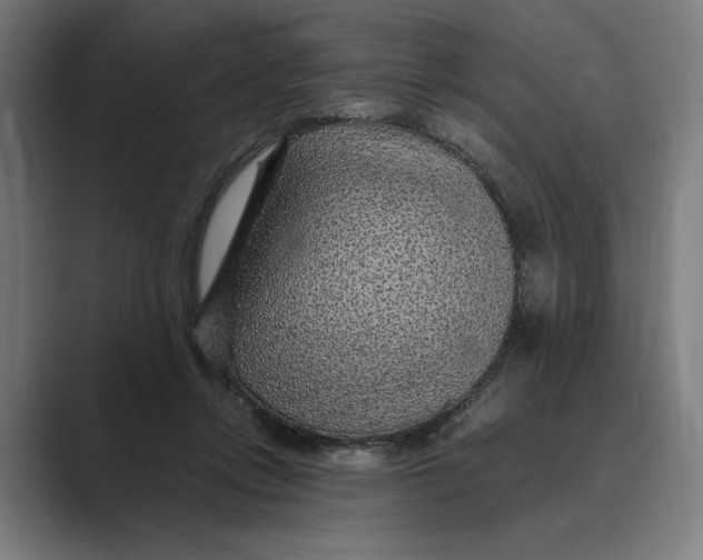 X0000088920358200706291531