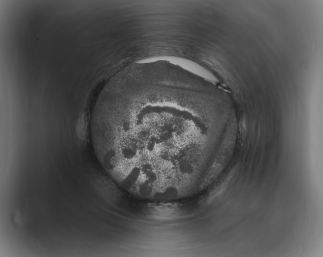 X0000088920359200706291531