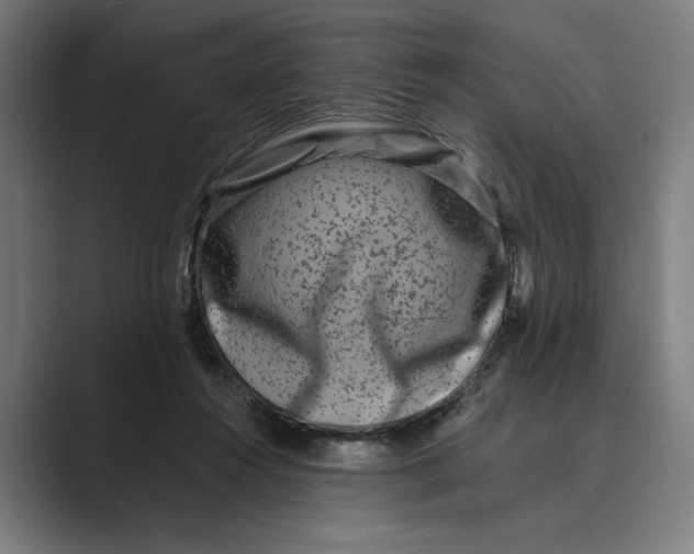 X0000088920360200706291531