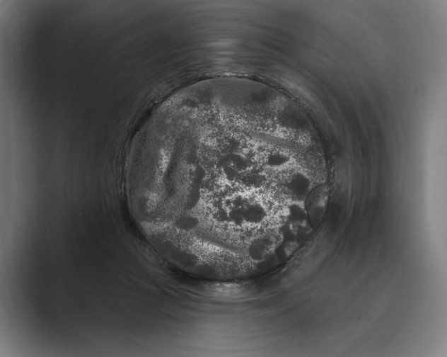 X0000088920361200706291531