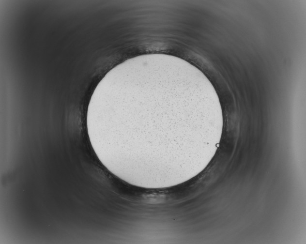 X0000088920362200706291531