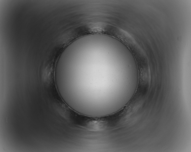 X0000088920364200706291531