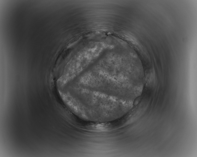 X0000088920365200706291531