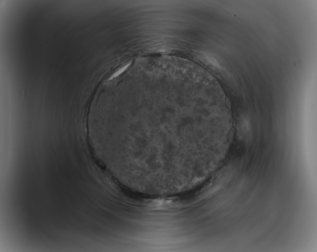 X0000088920366200706291531