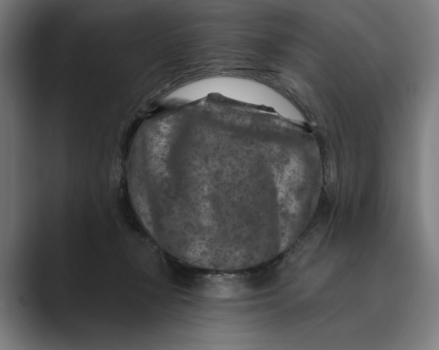 X0000088920367200706291531