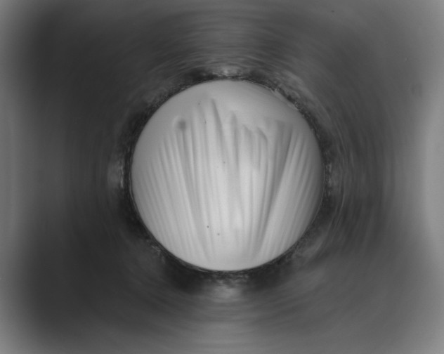 X0000088920368200706291531