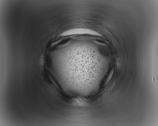X0000088920372200706291531