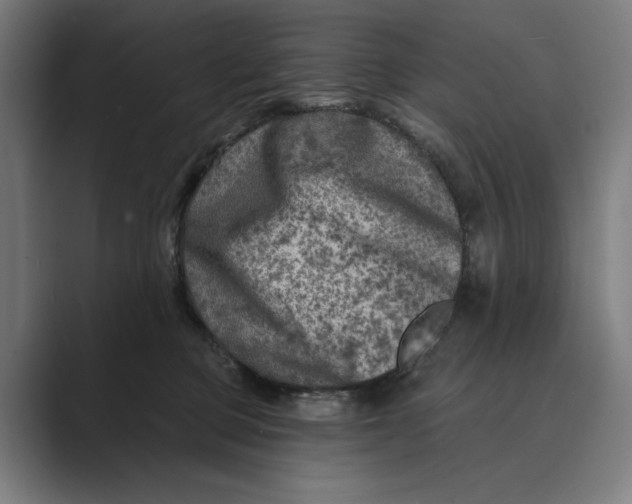 X0000088920373200706291531