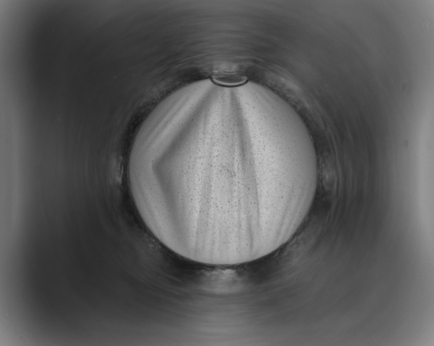 X0000088920374200706291531