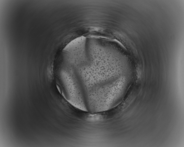 X0000088920376200706291531