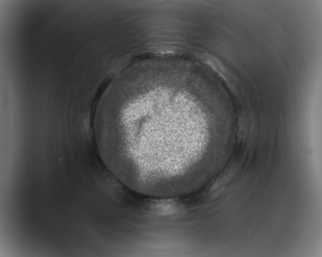 X0000088920377200706291531