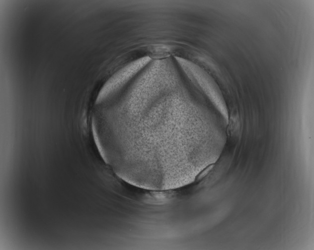 X0000088920381200706291531