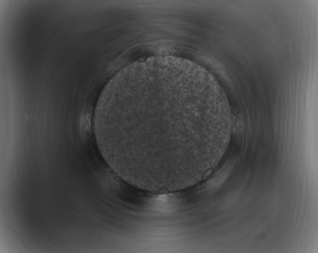 X0000088920382200706291531