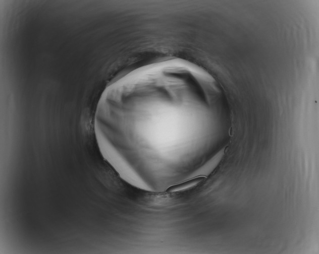 X0000088920384200706291531