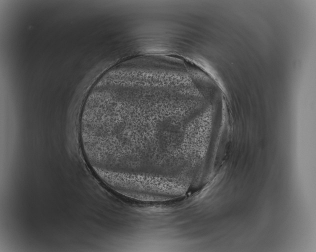 X0000088920385200706291531