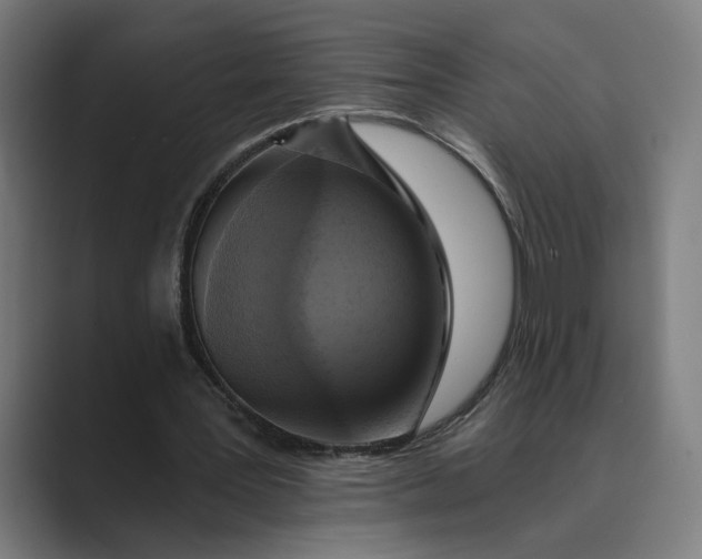 X0000088920387200706291531